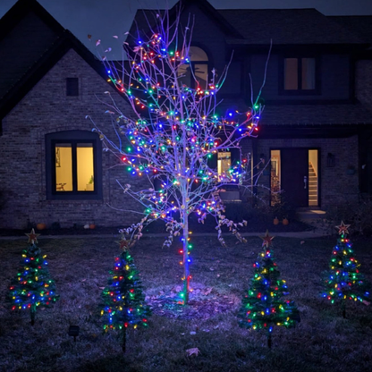 Twinklin' Mini Pines